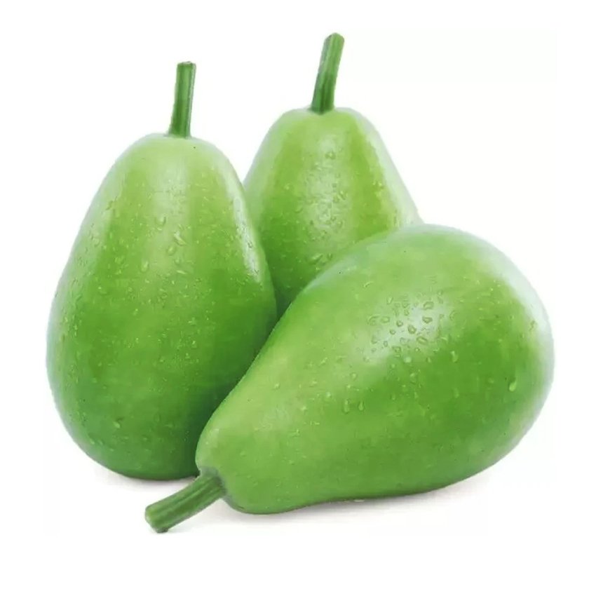 Bottle Gourd (Law)