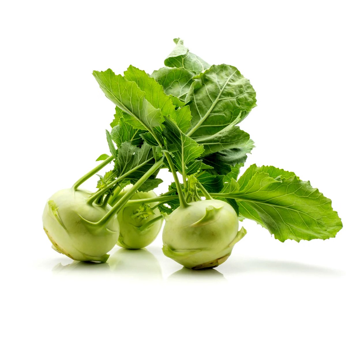 Oal Kofi 100g Pack