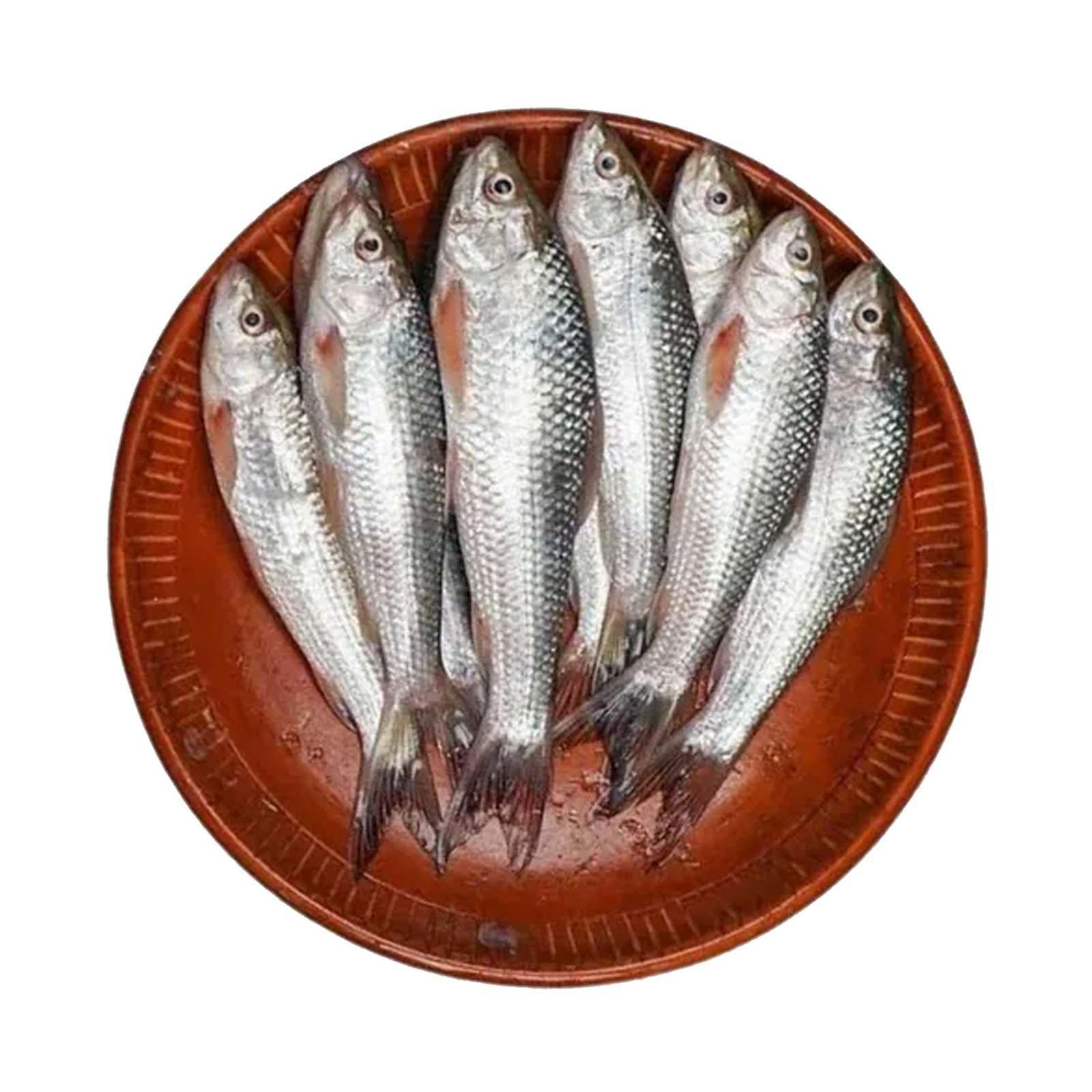 Bata Fish 50g - 55g